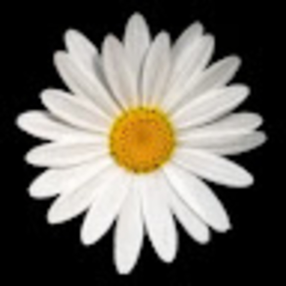 Meet your Posher, Meghan